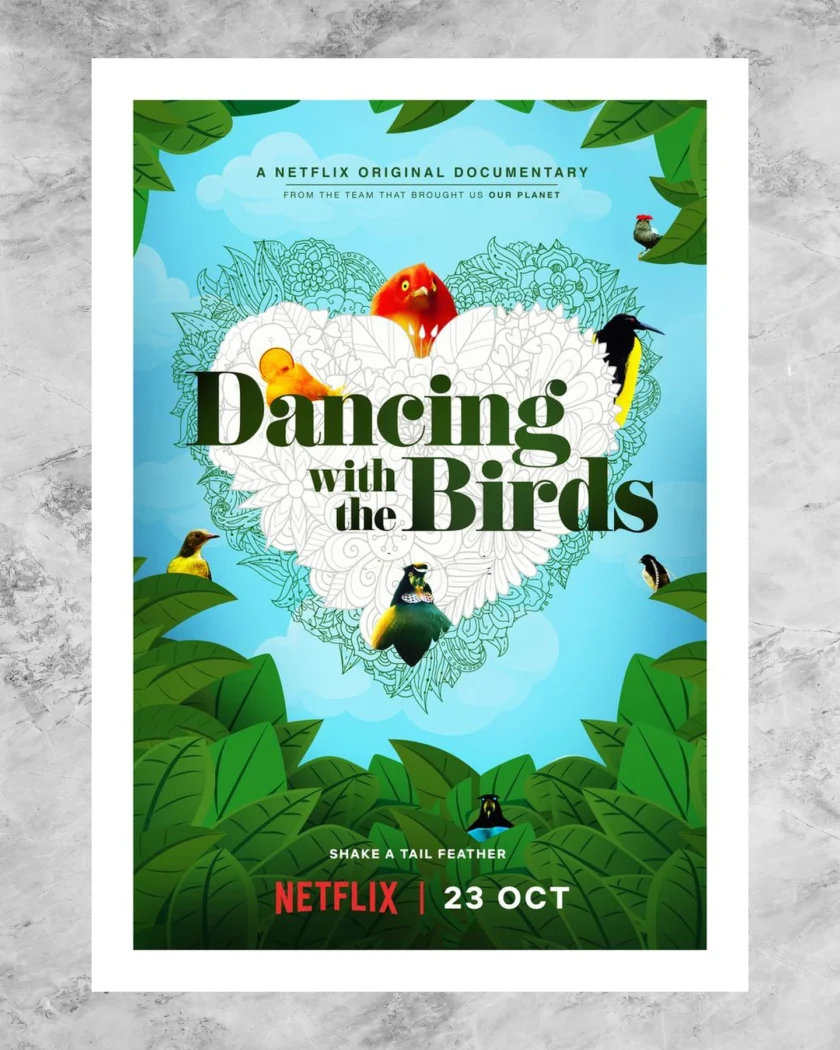 Dancing with the Birds Poster